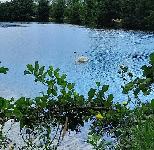 T2 Avec Balcon Refait A Neuf Villers-sur-Mer